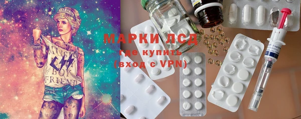 PSILOCYBIN Алзамай