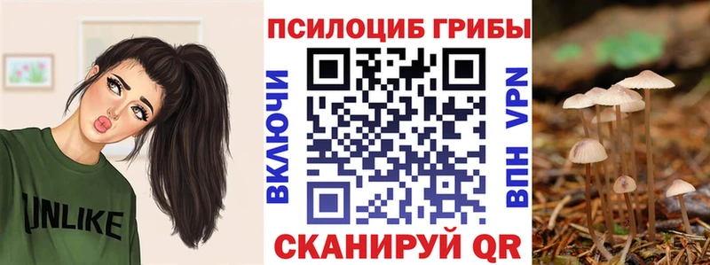 Псилоцибиновые грибы Psilocybe  Дыгулыбгей 